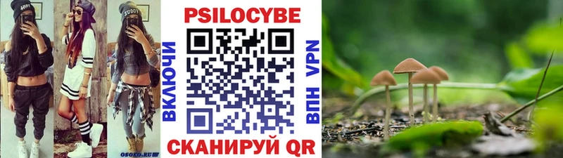 Галлюциногенные грибы MAGIC MUSHROOMS  Углегорск 
